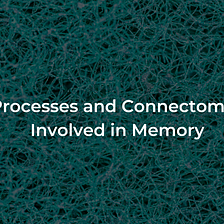 Memory: An Overview of Processes and Theories