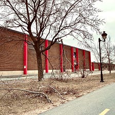 Trees made leafless by this wintery wind