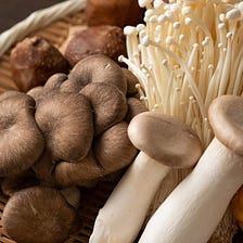 The Magic (and non-Magic) Mushrooms of Japan