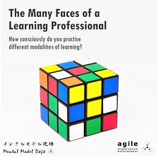 The Many Faces of a Learning Professional
