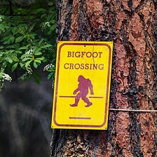 Are Bigfoot Believers The New UFO Crazies?