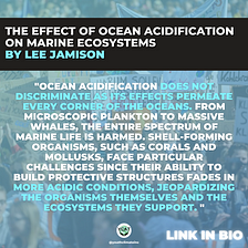 The Effect Of Ocean Acidification On Marine Ecosystems