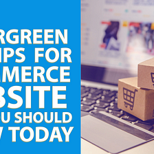 5 Evergreen SEO Tips for Ecommerce Website that You Should Know Today