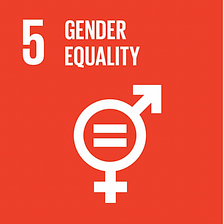 SDG 5: Gender Equality (Alitheia IDF)