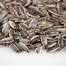 How to Use dbt Seeds