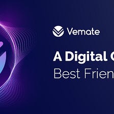 Vemate — A Digital Collector’s Best Friend