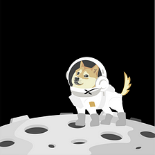 Welcome onboard to DogeXSpace !