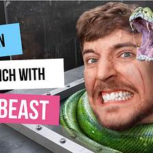 Learn French with Mr Beast