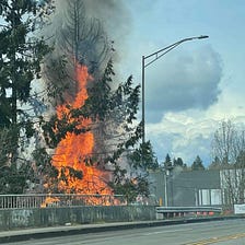 Impact of the 2828 Martin Way Homeless Shelter on the Applehill Neighborhood.