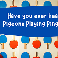 Have you ever heard of Pigeons Playing Ping Pong?