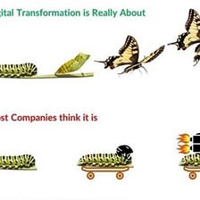 Digital Transformation: How does programing with “digital by design” look like?