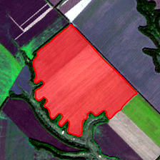 AI-assisted mapping of crop fields using free Sentinel imagery