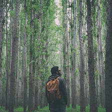 Forests & Trees: How To Train Your Brain To See Both