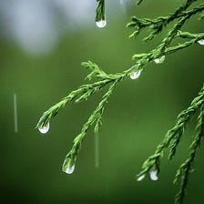 Raindrop Symphony, Nature’s Rhythm, A Calming Cascade
