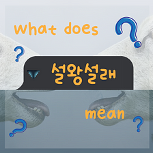 What does 설왕설래 (說往說來) mean?