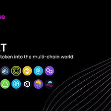 Introducing Synapse xAssets