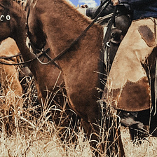 Historic Cowboy: Just A Ranger From West Texas, by Chip Schweiger