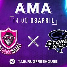 ⚡️STORM YIELD X RUGFREEHOUSE AMA ANNOUNCEMENTS⚡️