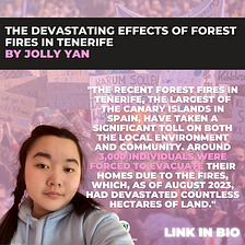 The Devastating Effects of Forest Fires in Tenerife