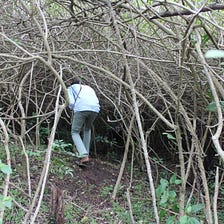 Tackling the Lantana Menace at Scale