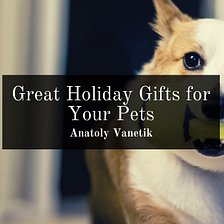 Great Holiday Gifts for Your Pets