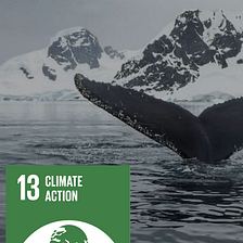 Climate Change Education: Digital Learning and Action for SDG 13