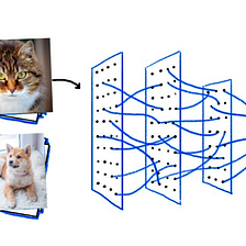 Quick Code Tutorial on how to import and display images for Neural Network Classification