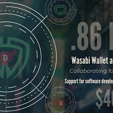 Bull Bitcoin and Wasabi Wallet award $40,000 Bitcoin development grant to Luke-Jr