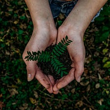 Five Reasons To Be Optimistic About Our Planet’s Future