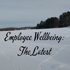 The Next Leap: Life Planning as a Key to Employee Wellbeing