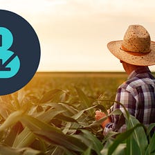 How to increase rewards and minimize risk while yield farming