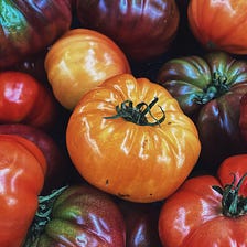 Heirloom Vegetables — What are they? & Why you should grow them!