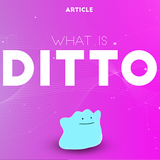 What is xDitto?