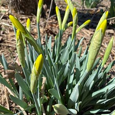 Farm Friday, April 14th, 2023