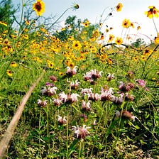 Go Outside, Spring Is for Feeling Alive