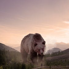 The Day The Grizzly Charged Me!
