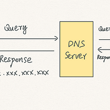 DNS Message — How to Read Query and Response Message