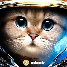 Why CatzCoin?