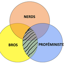 Le nerd, le bro et le proféministe