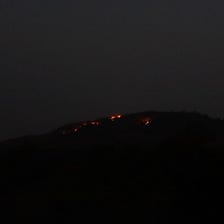 দাবানলের পরে গজাবুরু! After Forest fire in Gajaburu Hill!