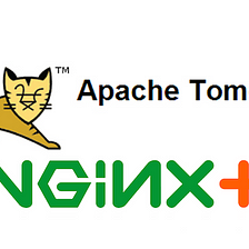 Nginx Reverse Proxy