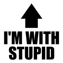 I’m Stupid, and So Far, So Good.