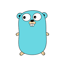 Approach To Avoid Accessing Variables Globally in Golang