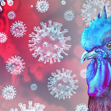 Avian Influenza Virus Presents ‘Apocalyptic’ Threat To Wildlife Around The World
