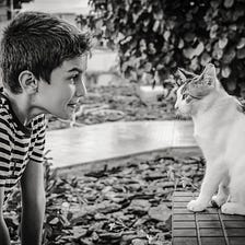 Top 4 Best Pets for Children and the Benefits