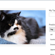 Which cat breed is this? A more complex test case for the cognitive computing