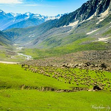 Nature Lover’s Pilgrimage — Kashmir Great Lakes trek