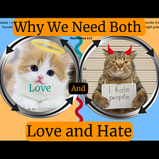 What is Polarity Management? The Social Impact of Love & Hate