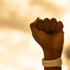 I Support Reparations and Protections Against Reparations Theft