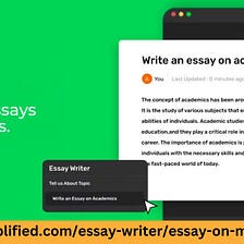 university essay writer